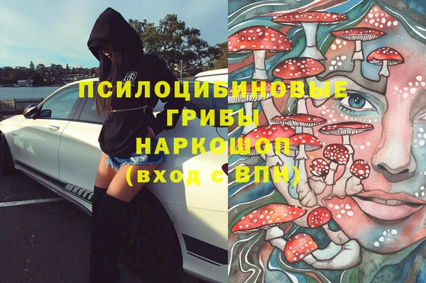 крисы Нефтегорск