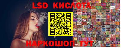spice Изобильный