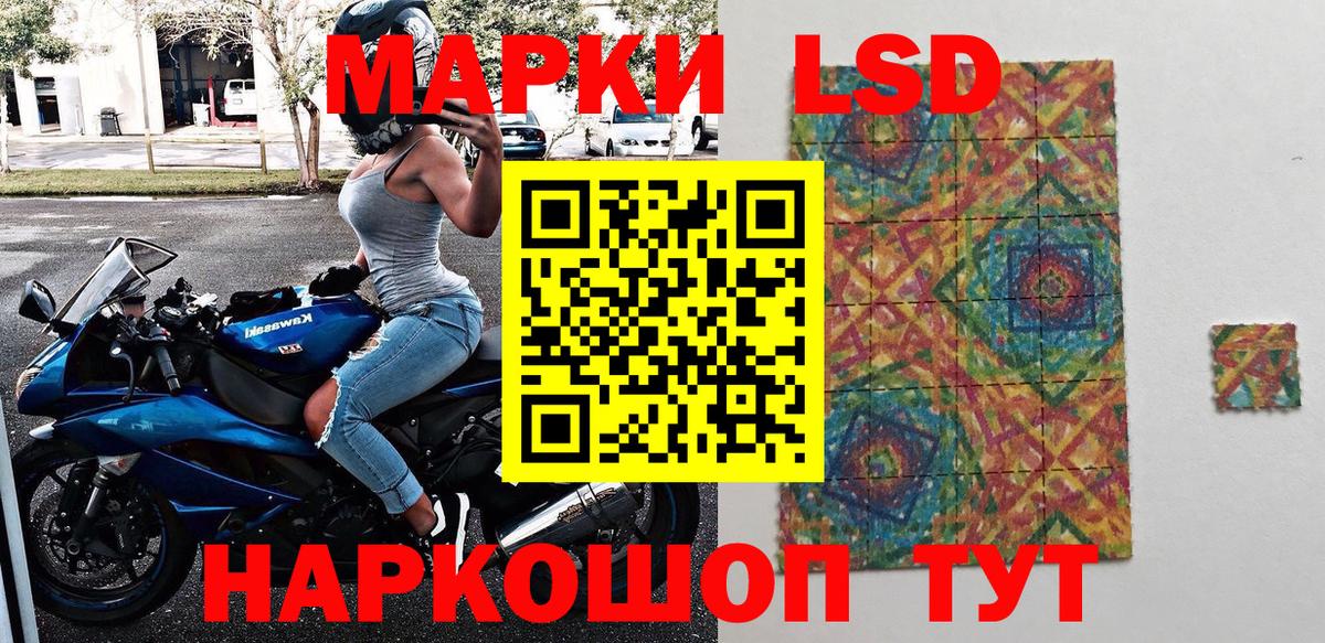 где купить   Марки N-bome 1,8мг  Наркотические марки  Вход с VPN  Новозыбков 