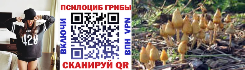Галлюциногенные грибы MAGIC MUSHROOMS  Новозыбков 